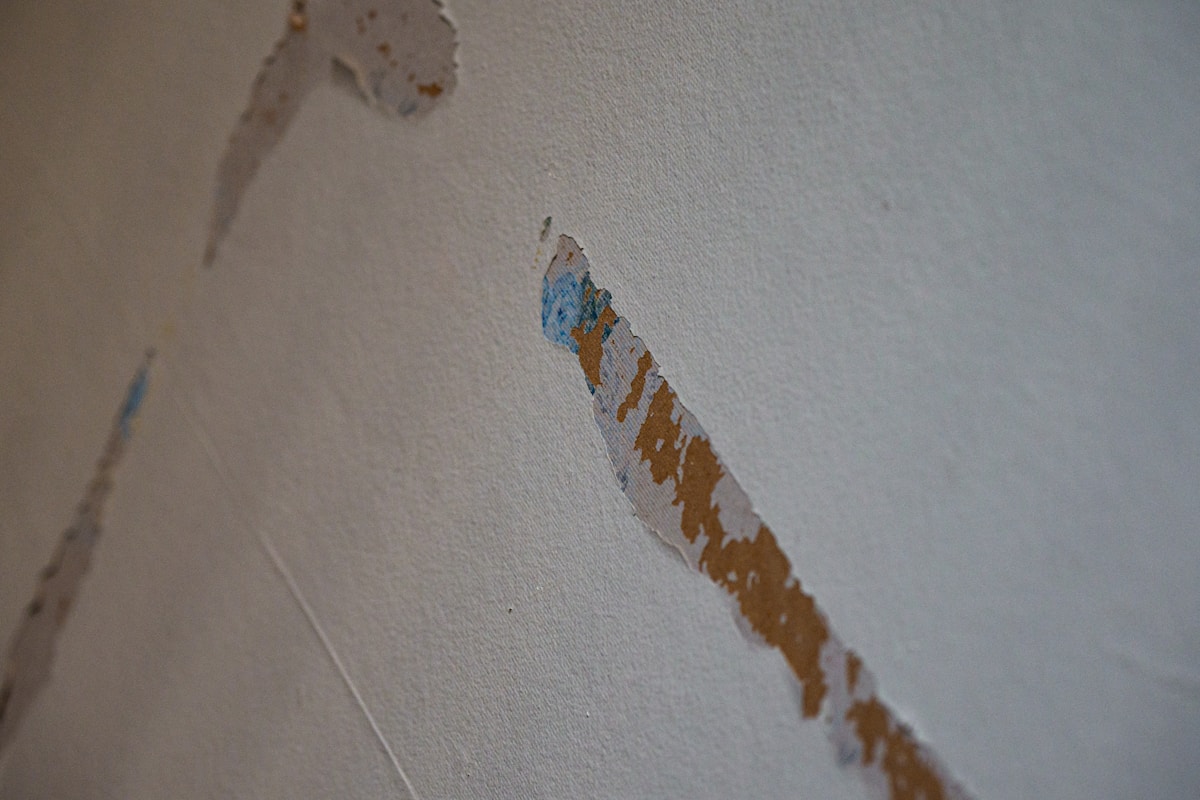 Mold Remediation service in Mansfield, OH